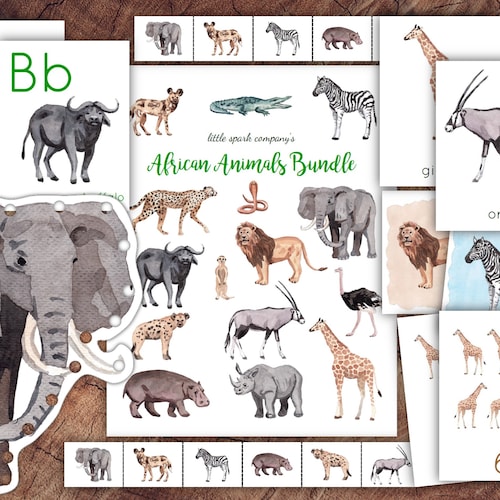 African Animals Bundle Preschool Literacy Math - Etsy