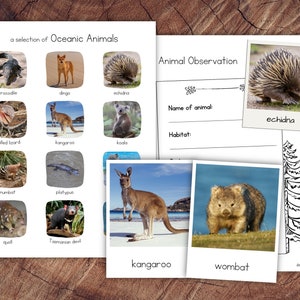 Oceanic Animals Pack mit Erweiterung