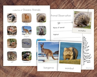 May include: A printable worksheet with images of Australian animals, including a kangaroo, echidna, wombat, and platypus. The worksheet includes a section for animal observation with space to write the name of the animal and its habitat.