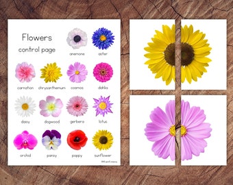 Flower Symmetry Puzzles, Matching Cards, Toddler Preschool Activity