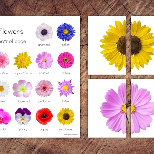 Flower Symmetry Puzzles, Matching Cards, Toddler Preschool Activity
