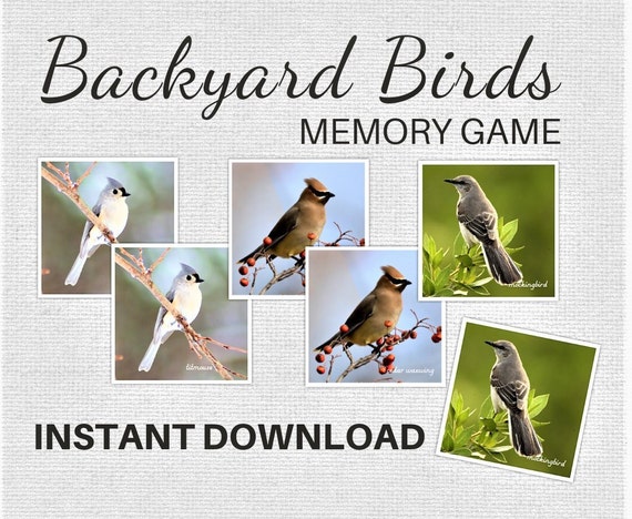 Backyard Birds Memory Game Matching Cards DIGITAL DOWNLOAD