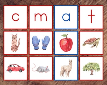 Beginning Letter Sounds Picture Sorting Card Set, Red Consonants Blue Vowels