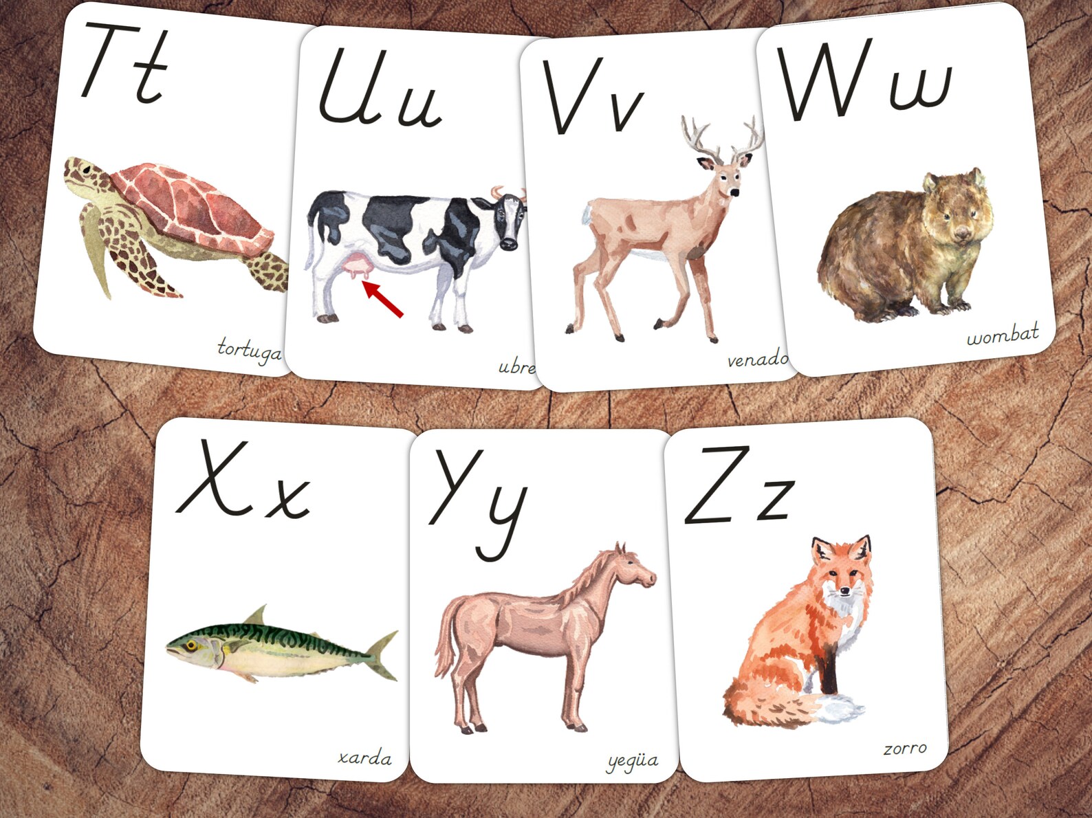 Animals of the World Alphabet Cards SPANISH Animal Nursery | Etsy