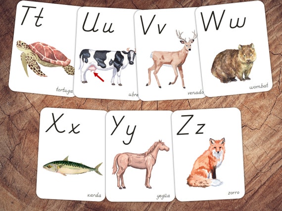 Animals of the World Alphabet Cards SPANISH Animal Nursery - Etsy Australia Animals of the World Alphabet Cards SPANISH Animal Nursery - Etsy Australia
