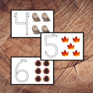 Autumn Number Primer Cards, Real Images, Toddler Preschool Activity