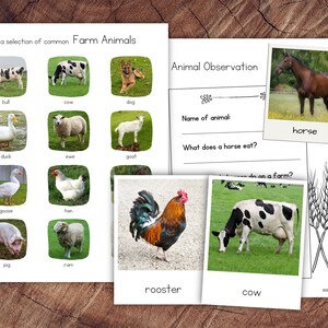 Pacote Animais de Fazenda com Extensão