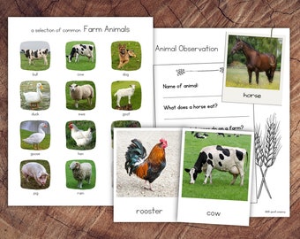 Farm Animals Pack with Extension