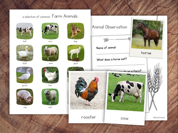 Buy Farm Animals Pack With Extension Online in India - Etsy Buy Farm Animals Pack With Extension Online in India - Etsy