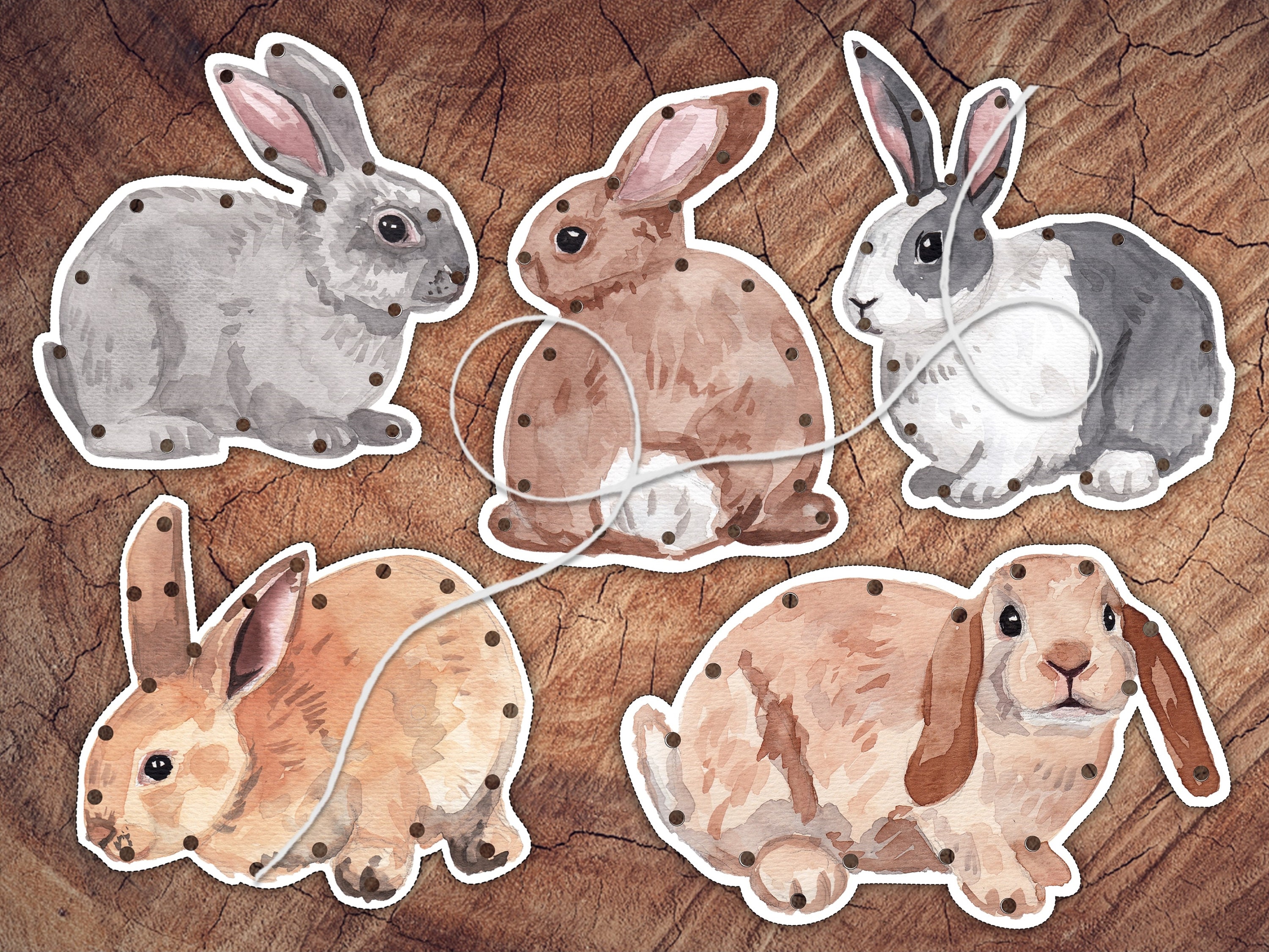 Bunnies Lacing Card Set, Large Format, Preschool Fine Motor Activity