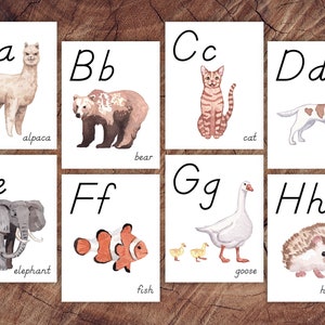 Animals of the World Alphabet Cards, D'Nealian-style Print