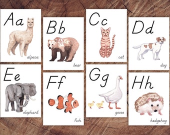 Animals of the World Alphabet Cards, D'Nealian-style Print