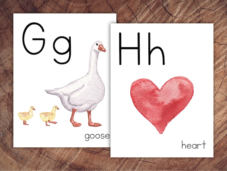 May include: Two educational cards with the letters G and H. The G card features a watercolor illustration of a goose and two goslings, with the word "goose" below. The H card shows a red watercolor heart and the word "heart".