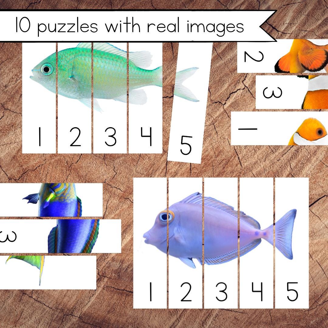 魚の数字パズル1-5、数字の認識、順序 - Etsy 日本
