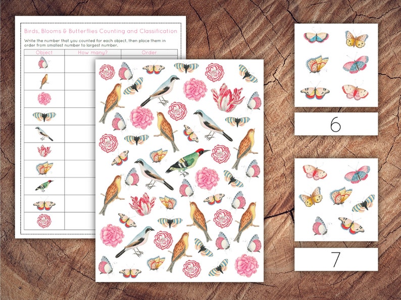 Birds, Blooms and Butterflies Preschool Math Bundle, Homeschool Printable image 5