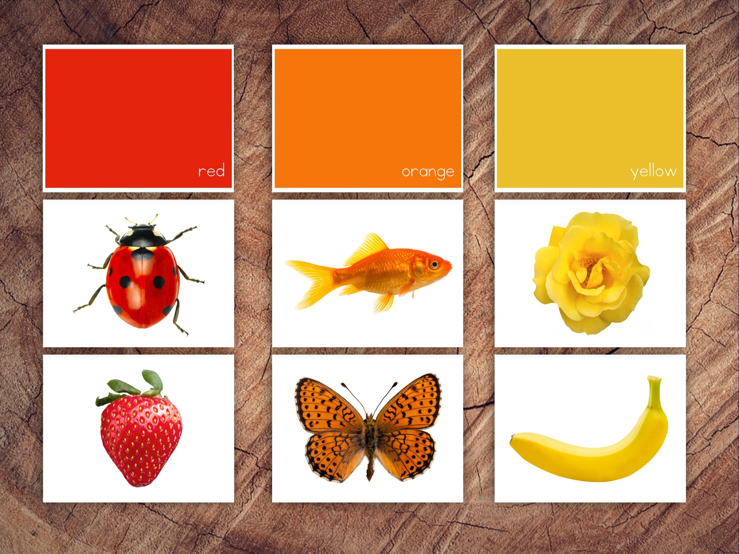 Isolated Objects Colour Sorting Cards, Toddler Preschool Colour Sorting ...