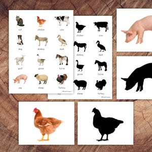 Cartões de correspondência de sombras de fazenda, correspondência de silhuetas, atividade pré-escolar para crianças pequenas