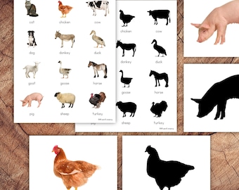 May include: A set of flashcards featuring farm animals. Each card has a color image of an animal on one side and a black silhouette of the same animal on the other side. The animals include a cat, chicken, cow, dog, donkey, duck, goat, goose, horse, pig, sheep, and turkey.