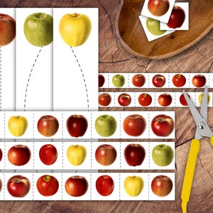 May include: A printable activity sheet featuring rows of red, green, and yellow apple illustrations with dashed cutting lines. The sheet includes individual apple squares and strips, accompanied by a pair of scissors with yellow handles.