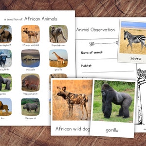 Afrikanische Tiere Pack mit Erweiterung