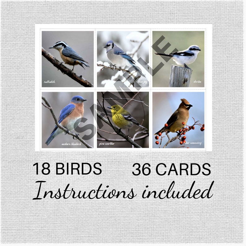 Backyard Birds Memory Game Matching Cards DIGITAL DOWNLOAD | Etsy