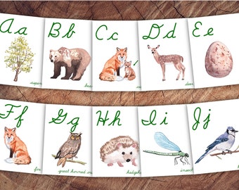 Forest Explorer Alphabet Cards Cursive, Woodland Animal Nursery Decor