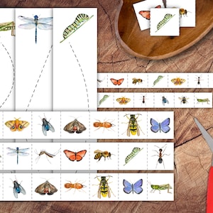 Op de afbeelding: Een set printbare insecten-levenscycluskaarten met een rups, een vlinder, een libel, een sprinkhaan en een mier. De kaarten zijn ontworpen voor kinderen om de levenscyclus van insecten te leren.