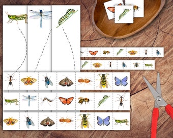 Insects Scissor Strips Set, Preschool Scissor Practice