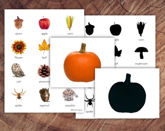 Fall Picture Matching Cards, Silhouette Matching, Toddler Preschool Activity
