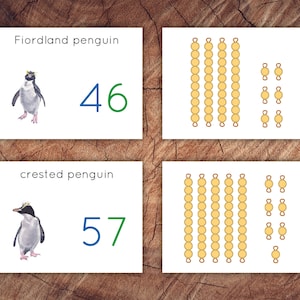 Playful Penguins Bundle, Homeschool Printable - Etsy