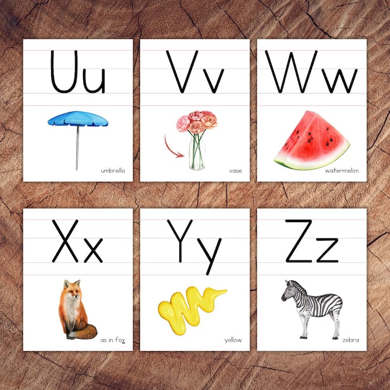 May include: Alphabet flash cards with uppercase and lowercase letters, each with a corresponding image and word.  The letters are Uu, Vv, Ww, Xx, Yy, and Zz.  The images are an umbrella, vase, watermelon, fox, yellow paint, and zebra.