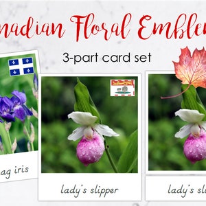 Zestaw 3 kartek z kanadyjskimi emblematami kwiatowymi - POBIERANIE CYFROWE