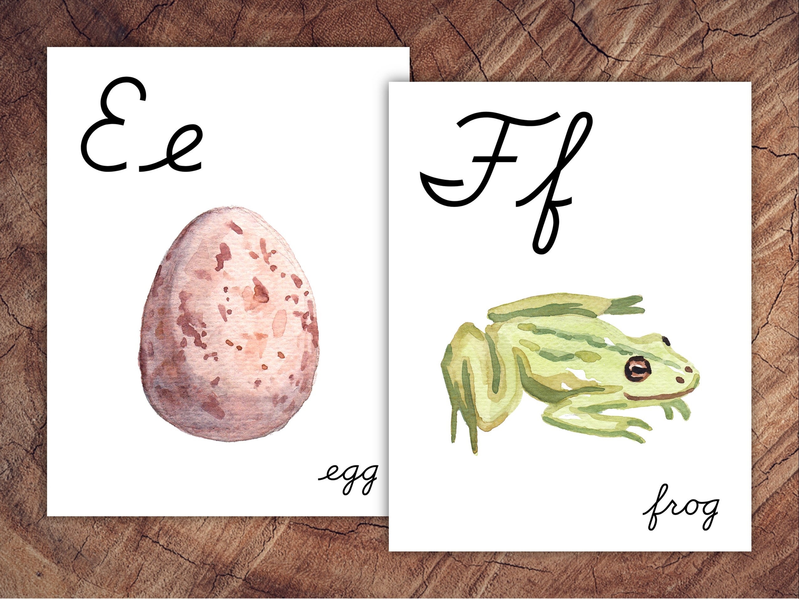 Cursive Alphabet Posters, Large Format for Classroom Use - Etsy