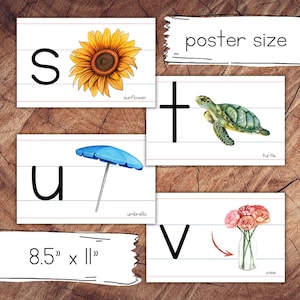 Pósteres con letras minúsculas, de gran formato y con líneas para uso en el aula