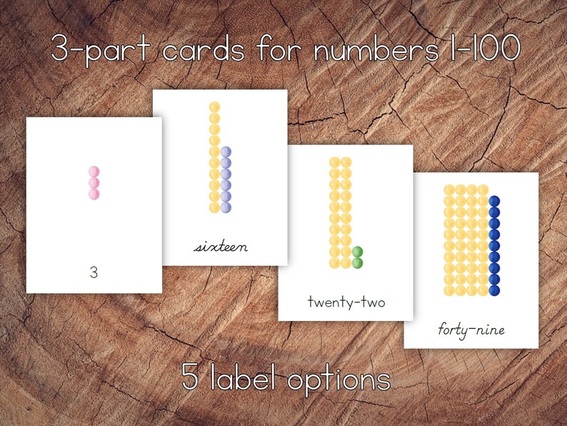 Montessori Coloured Beads 3-part Cards and Booklet Pack for 1-99 - Etsy