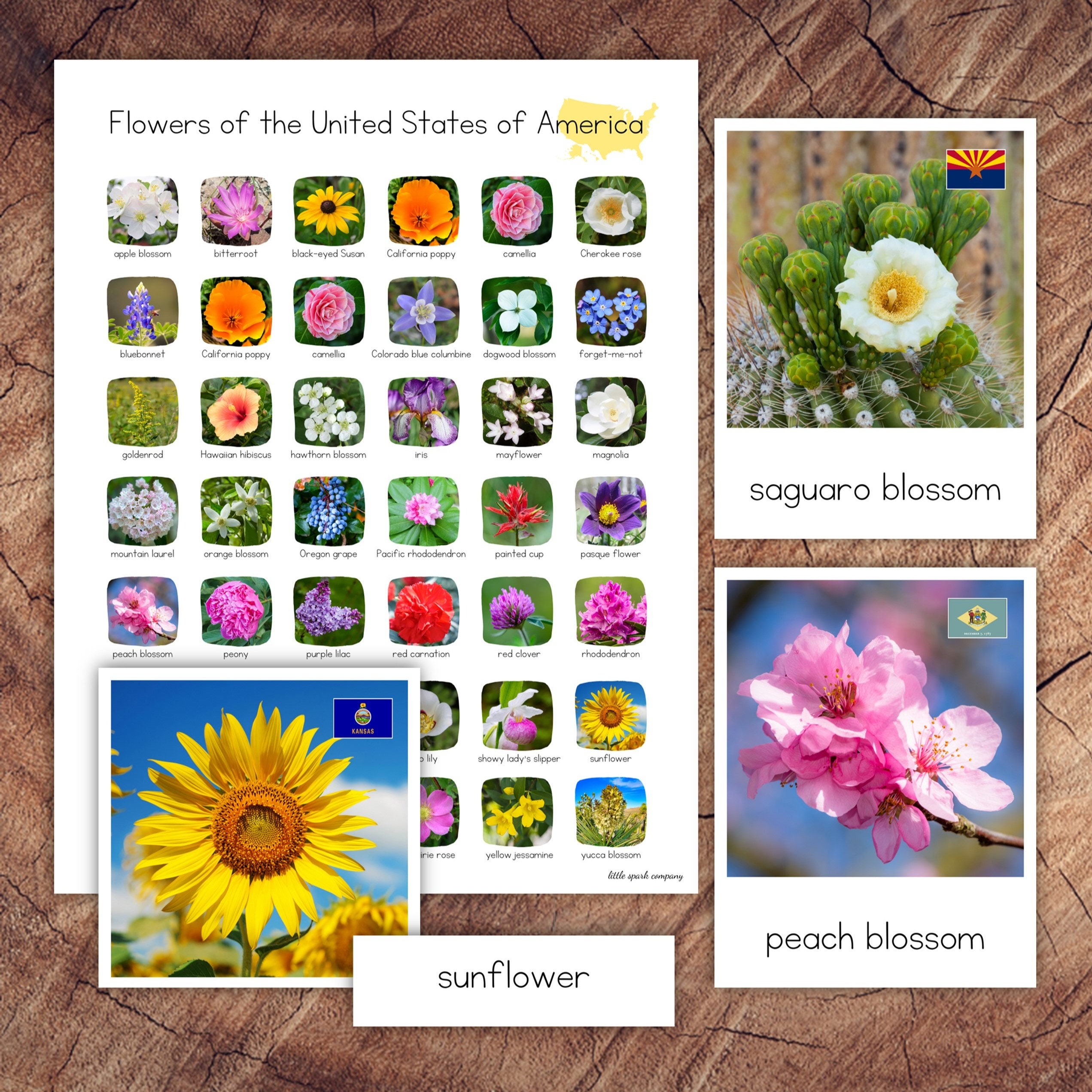 Buy US State Floral Emblems 3-part Card Set DIGITAL DOWNLOAD