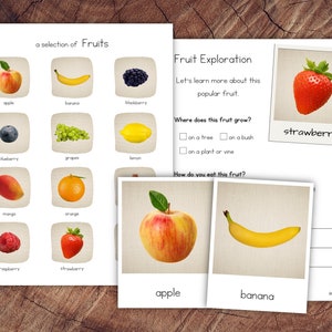 Fruits Pack with Extension image 1