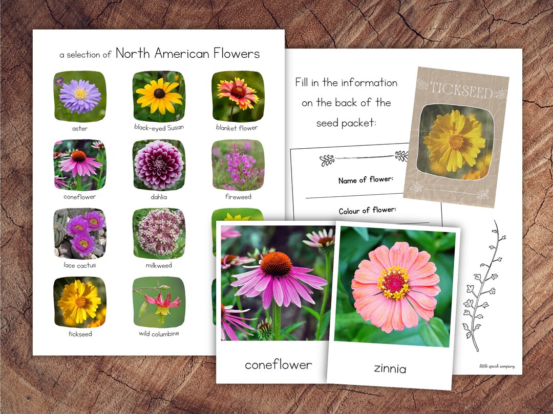 North American Flowers Pack With Extension Etsy