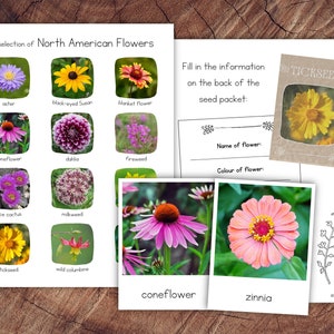 North American Flowers Pack mit Erweiterung