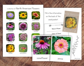North American Flowers Pack with Extension