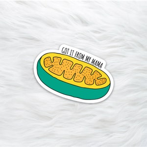 Got It From My Mama Mitochondria, vinyl science sticker, biology, geekery, science stationery, Mother's Day gift