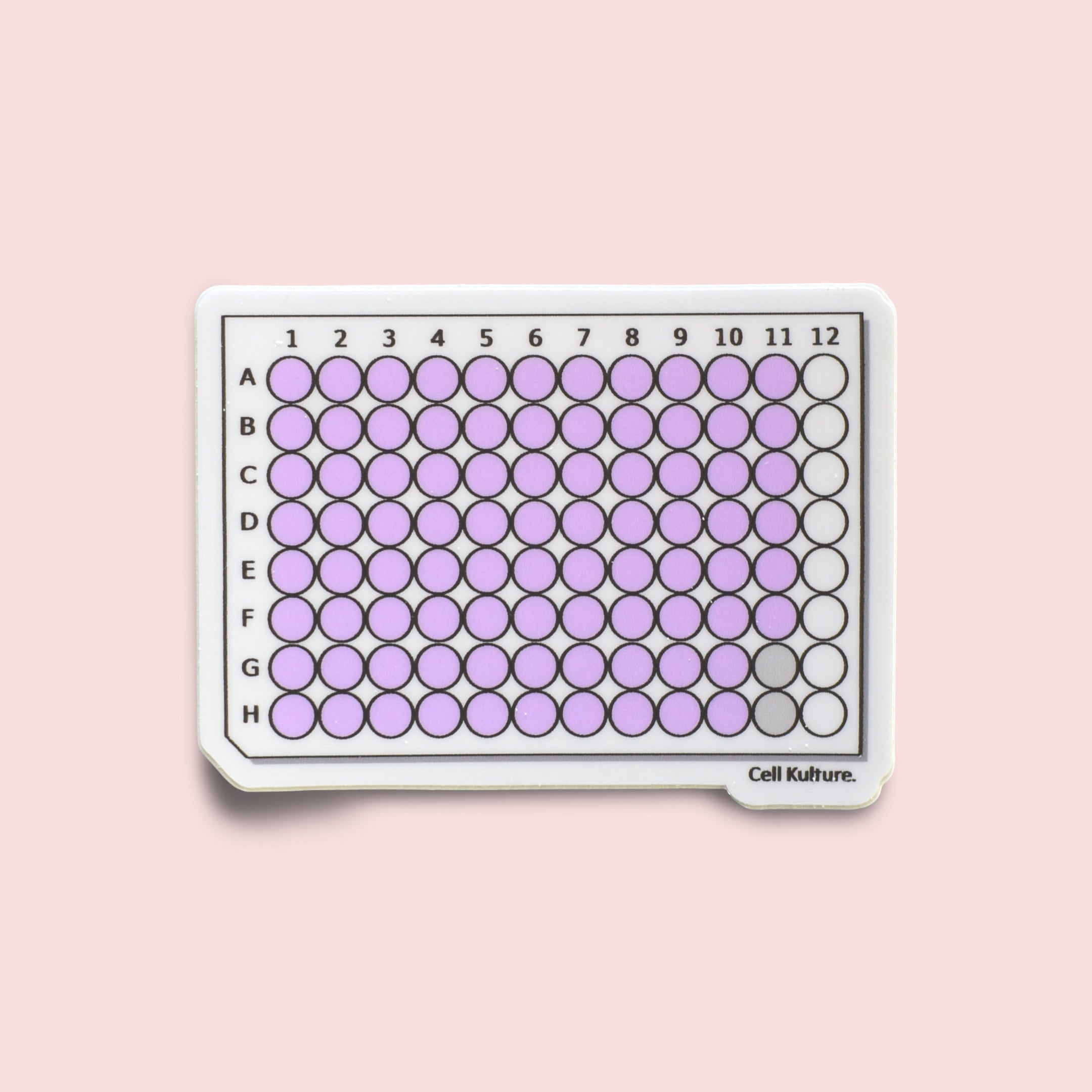 BRANDplates ® plaque de microtitration, 96-puits, pureGrade™, PS, BIO-CERT® CERTIFIED QUALITY | BRAND