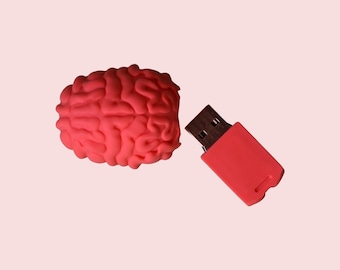 Brain 32GB USB 2.0 flash drive, science stationery, geekery, neuroscience, gift for scientist