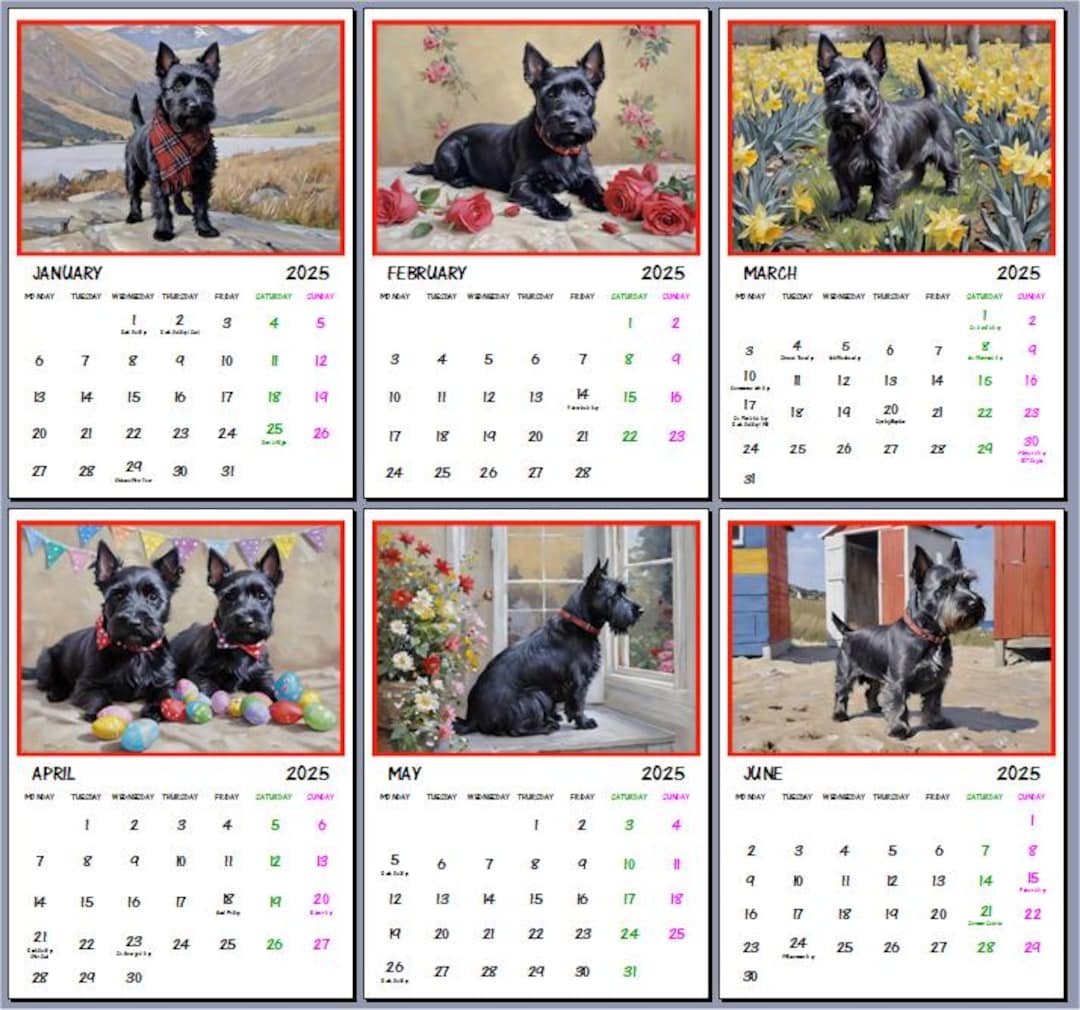 2025 Cute Scottie Dogs Calendar A4 Size Etsy UK