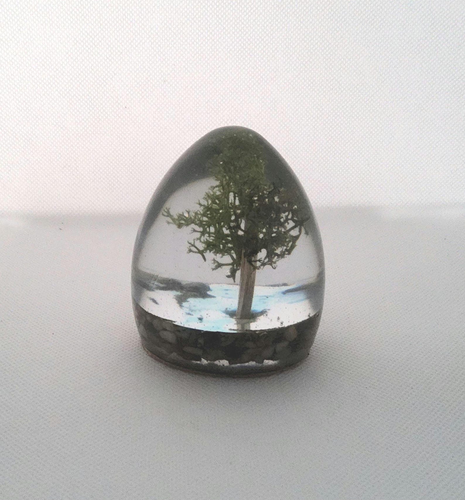 Paperweight/ornament With Tree, and Stream in Epoxy Resin Art - Etsy
