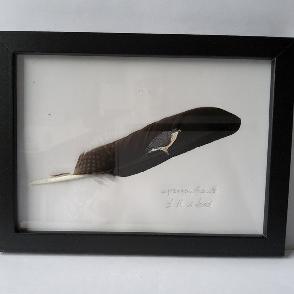 Sperwer, originele roofvogel schilderij op een veer