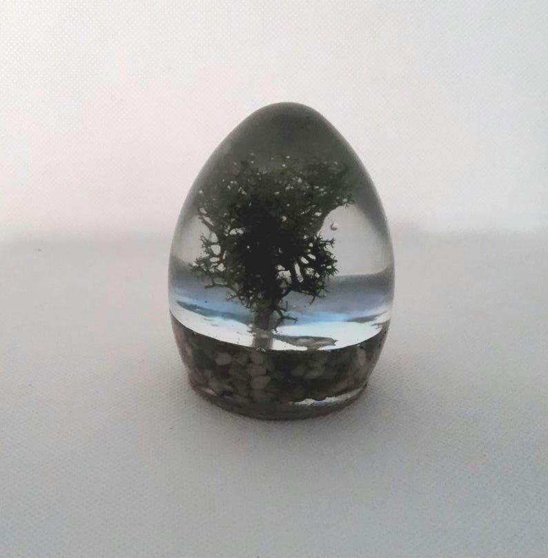 Paperweight/ornament With Tree, and Stream in Epoxy Resin Art - Etsy