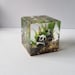 Paperweight/ornament With Tree, and Stream in Epoxy Resin Art - Etsy