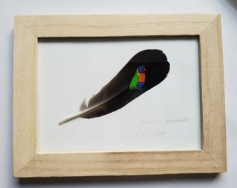 Rainbow parakeet, 'bird on a feather' , colourful bird original painting