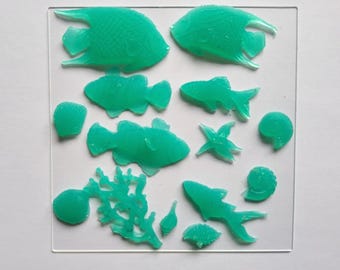 Könnte beinhalten: Ein Set mit 13 tealblauen Harzformen für Meereslebewesen, darunter Fische, Muscheln und Korallen. Die Formen sind auf einer durchsichtigen Acrylplatte angeordnet.
